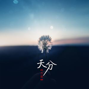 天分dj版伴奏