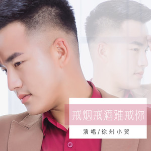 戒烟戒酒难戒你 (dj版) - 徐州小贺 - qq音乐-千万曲.