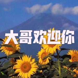 大哥欢迎你最爱版