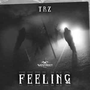 feeling (explicit)