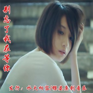 别忘了我在等你(女声:飘雪 伦巴)