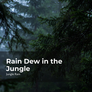 专辑:rain dew in the jungle 语种 其他 流派 pop 唱片公司