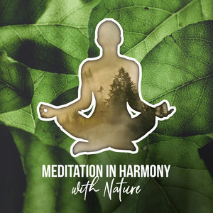 total relax - meditation/om meditation music academy/harmony