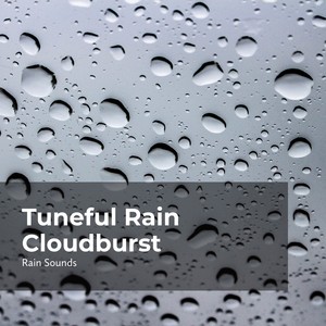 专辑:tuneful rain cloudburst 语种:  其他  流派: pop  唱片公司