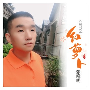 复制红萝卜 张晓明词:纪小黑曲:郭鼎立编曲:团团和声:杨顺麟录音