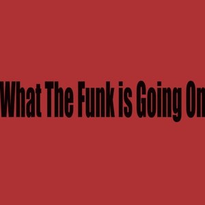 专辑:what the funk is going on(explicit 语种 英语 流派 r&b