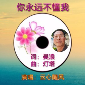 你永远不懂我