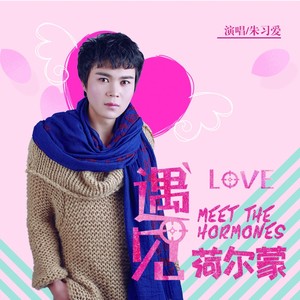 遇见荷尔蒙(电影《遇见》主题曲)