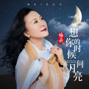 梅朵专辑:想你的时候问月亮语种:纯音乐流派:pop唱片公司:启韵传媒