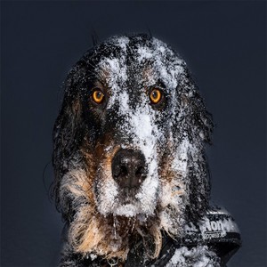 王恩喆echo