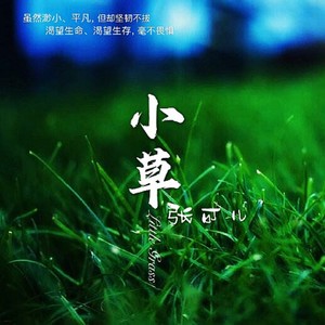 小草 张可儿词:向彤/何兆华曲:王祖皆/张卓娅没有花香没有树高我是