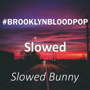 brooklynbloodpopslowedremix