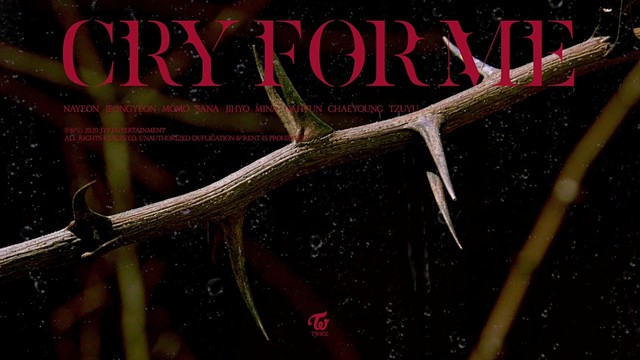 cry for me (音频版)
