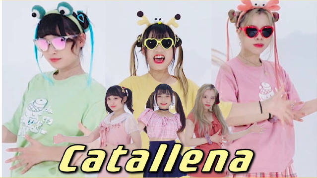 catallena橙子焦糖