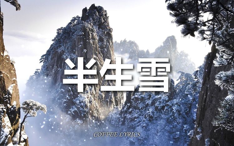 雪儿 - 半生雪(女声版)| 半生风雪 吹不散岁月留下的眼泪 | 动态歌词