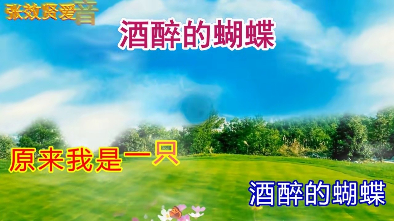 孙艺琪激情演唱的《酒醉的蝴蝶》旋律优美,好听极了