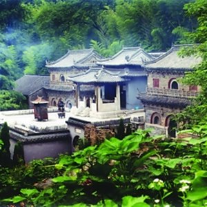 厉依林