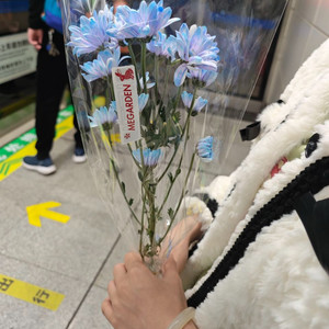 陈可眠