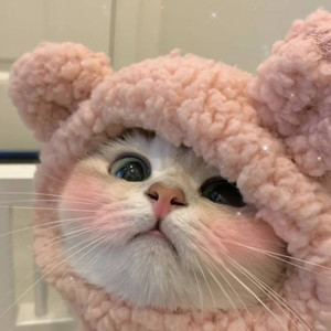 可人儿奈也