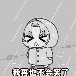 扇宝的钢板