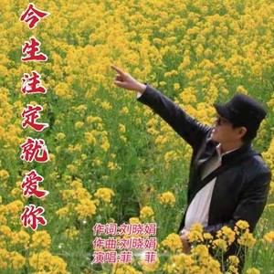 菲菲