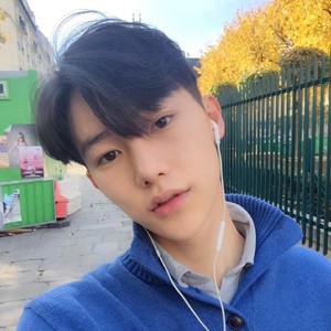 不动心的老辞