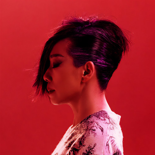 林忆莲资料,林忆莲最新歌曲,林忆莲MV视频,林忆莲音乐专辑,林忆莲好听的歌