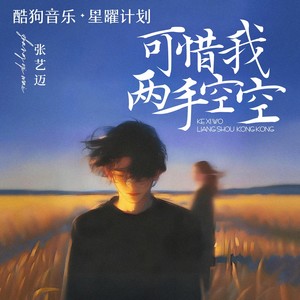可惜我两手空空
