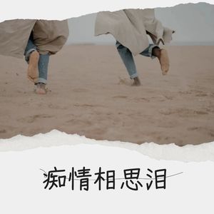 痴情相思泪原唱图片