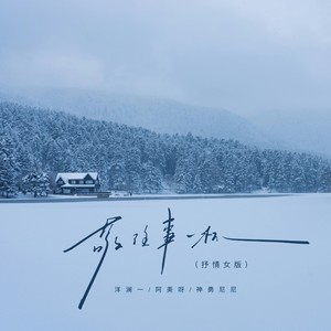 敬往事一杯（抒情女版）
