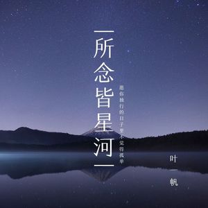 所念皆星河