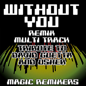 withoutyouremixmultitracktributetodavidguettausher