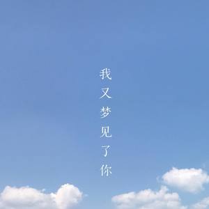 我又梦见了你 (伴奏)