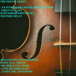 thepoeticviolin