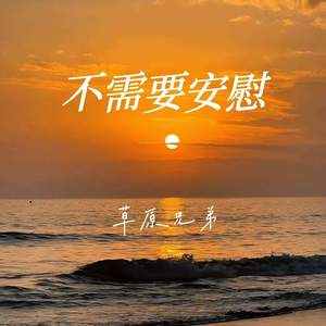 不需要安慰