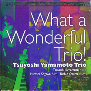 山本剛トリオ(Tsuyoshi Yamamoto)_What a Wonderful Trio!专辑_QQ音乐_