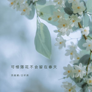可惜落花不会留在春天