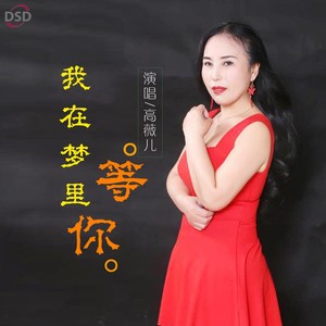 我在梦里等你