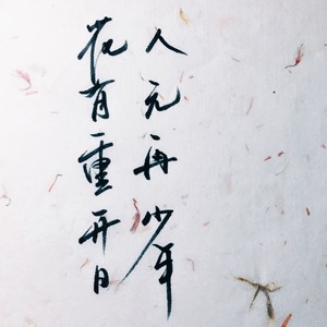 花有重开日人无再少年