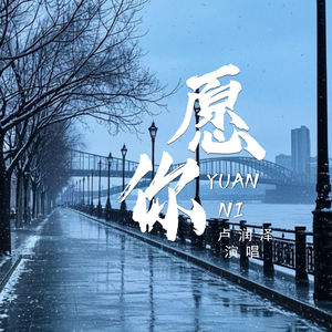 愿你