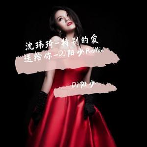 沈瑋琦-特別的愛送給你-dj陽少remix