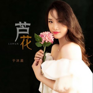 歌詞複製蘆花 - 於沐晨詞:賀東久曲:印青蘆花白蘆花美花絮滿天飛千絲