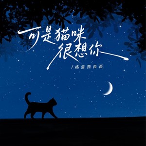 可是猫咪很想你