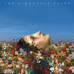 simple as that - the pineapple thief - qq音樂-千萬正版音樂海量