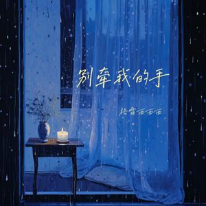 别牵我的手