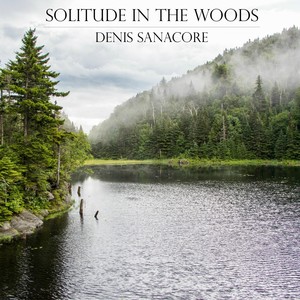 solitudeinthewoods