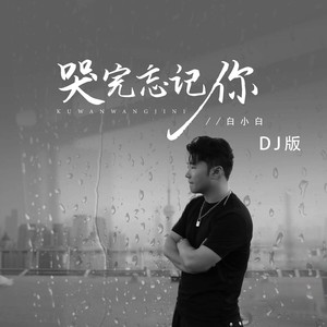 哭完忘记你(DJ版)