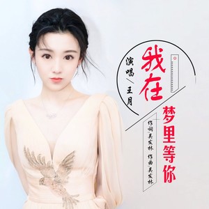 我在梦里等你