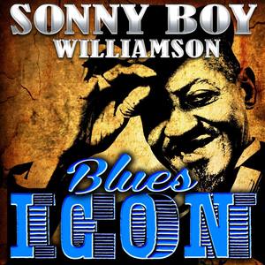 take it easy baby - sonny boy williamson/willie love - qq音樂