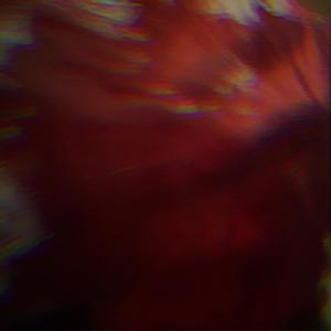 Wizi. - QQ音乐-千万正版音乐海量无损曲库新歌热歌天天畅听的高品质 ...